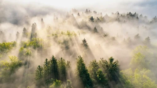 ales-krivec-BFJgf6sRmw8-unsplash